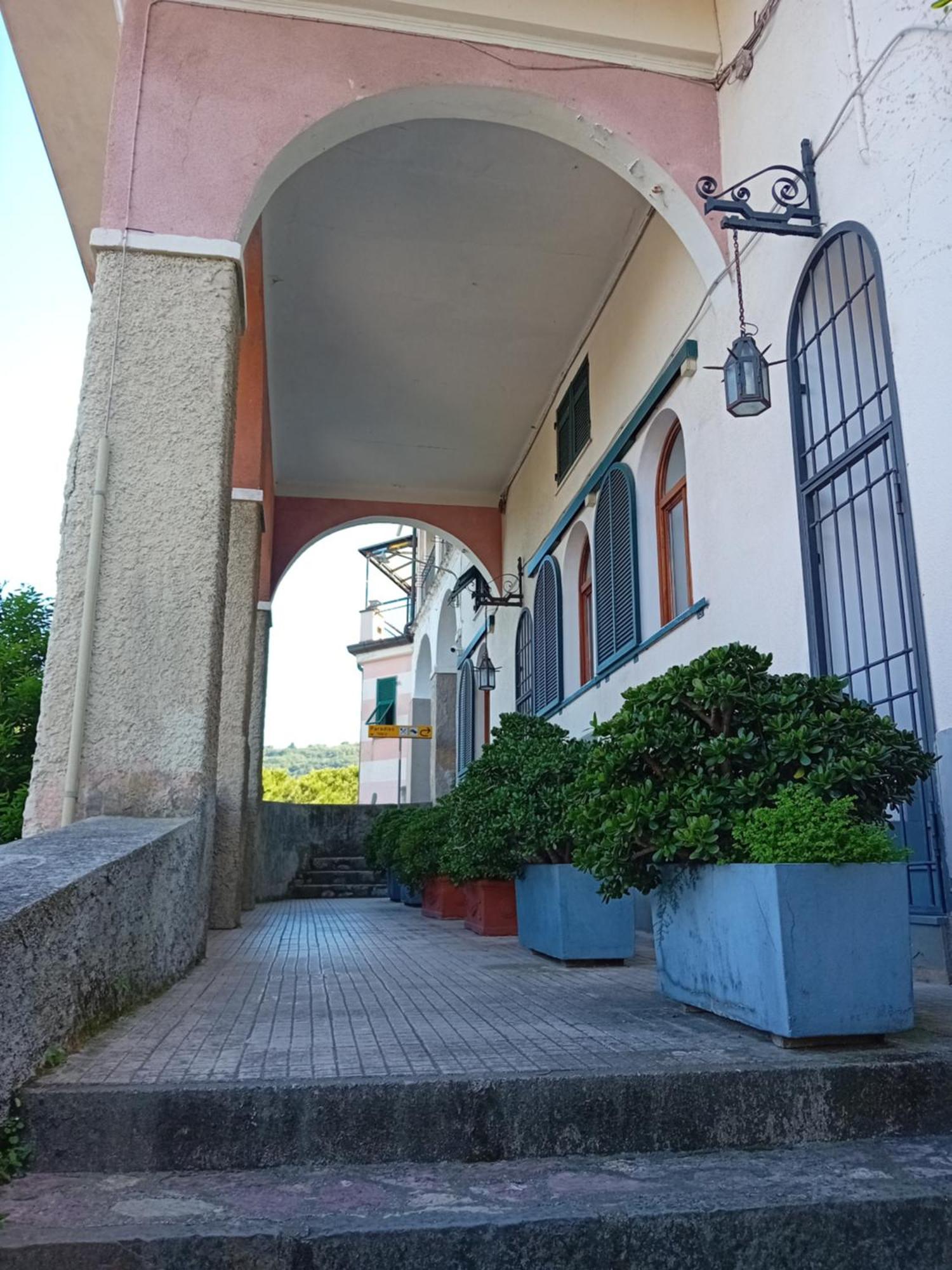 Paradiso Portov Enere 3*